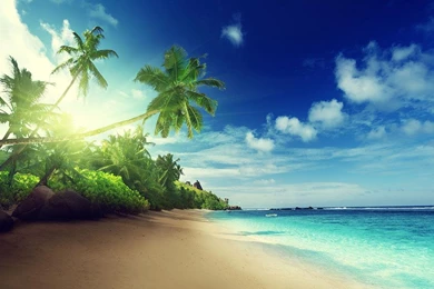 Beach Live Wallpapers   Android Apps On Google Play