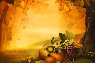 Fall_Thanksgiving_Background.jpg?m=1399676400