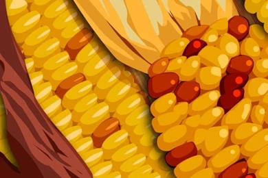 Thanksgiving Wallpapers For Apple iPhone 5