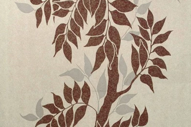 Shop Birch Tree Wallpapers Products On Houzz