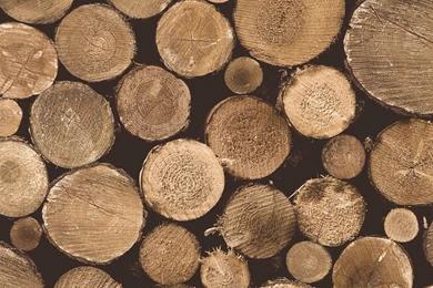 Contemporary Faux Wood Nature Brown Firewood Wallpapers