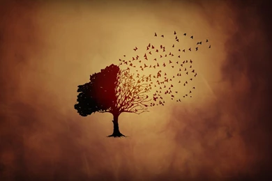 Tree Wallpapers – AB Wallpapers