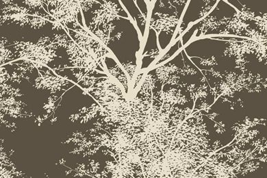 Interior Place   Brown Cream AP7505 Tree Silhouette Wallpapers ...