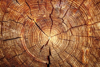 High Resolution Wood Dark Brown HD Wallpapers Full Size ...