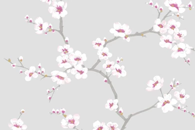 Graham & Brown Apple Blossom Tree Wallpapers   Grey   312338