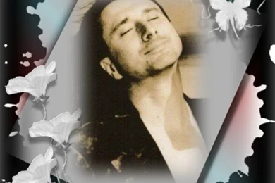 Steve Perry Wallpapers Steve Perry Photo (21515996) Fanpop