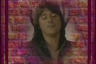 Steve Perry Wallpapers Steve Perry Photo (21515994) Fanpop