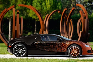 Bugatti Veyron Gr Sport Bernar Venet 3 Pictures