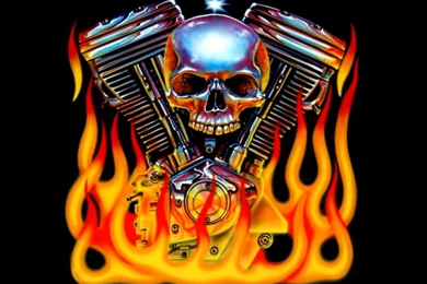 Free Skull Wallpapers