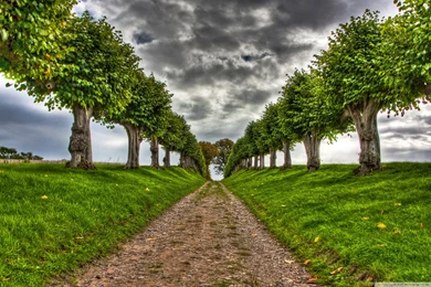 Hd Wallpapers Widescreen Collection (33+)