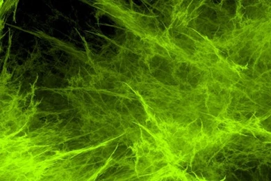 Light Green Smoke Wallpapers   Free iPhone Wallpapers