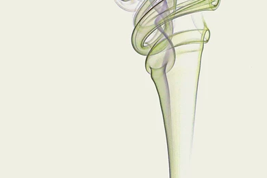 1280x1024 Green Smoke Desktop PC And Mac Wallpapers