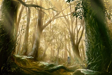 37 Mushishi HD Wallpapers