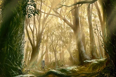 Mushishi Wallpapers   Wallpapers Cave