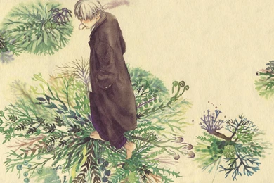 Mushishi Wallpapers   Wallpapers Cave
