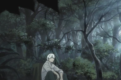 12 Quality Mushishi Wallpapers, Anime & Manga