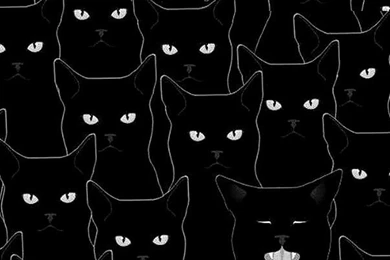 Odd One Out Cat Backgrounds