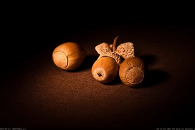 Album: Food And Drinks Wallpapers 1366x768 (full Images)