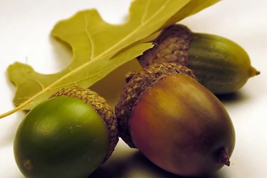 iPad Air 2 Wallpapers HD, iPad Air Wallpapers   Part 8