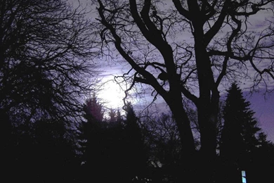 Scary Backgrounds   Wallpapers Cave