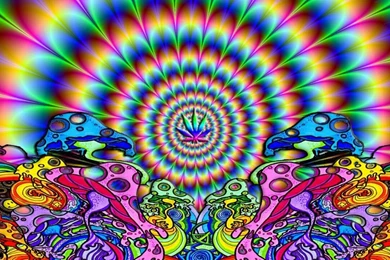 Wallpapers Psychedelic Shrooms Colorful Hi 1280x720