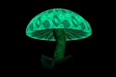 Magic Mushroom Wallpapers