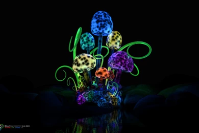 Quotes About Magic Mushrooms. QuotesGram