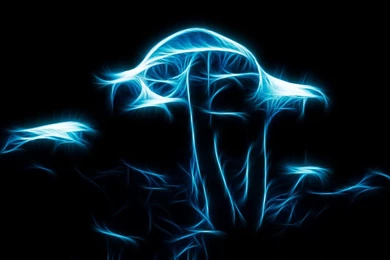 Psychedelic Mushrooms By Madhatterl7 On DeviantArt