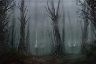 Creepy Forest At Night