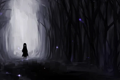 Creepy Dark Forest Wallpapers