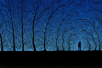 Spooky Forest Trees Backgrounds 4K Wallpapers   HD Wallpapers & 4K ...