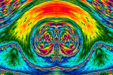 Holly Mushroom By CoaGoa On DeviantArt