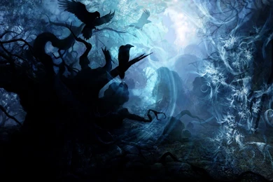 Wallpapers Land: Creepy Forest