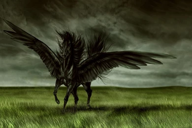 Dark Fantasy Wallpapers Magic Horse