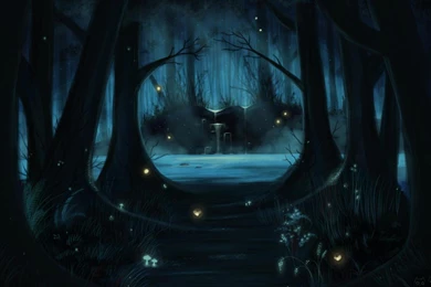 Into The Magic Forest   (