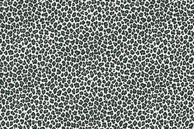 405 49437 Black Animal Print   Cheetah   Brewster Wallpapers