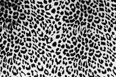 Black Cheetah Backgrounds   Wallpapers Cave