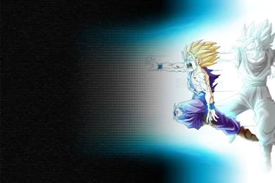 Wallpapers Gohan And Goku Dragon Ball Z 800x600