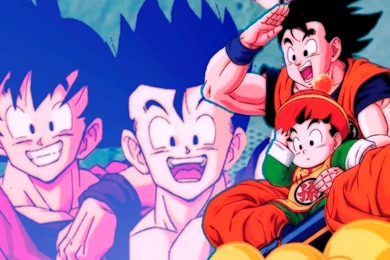 Gokuhan   Goku & Gohan Wallpapers (18428761)   Fanpop