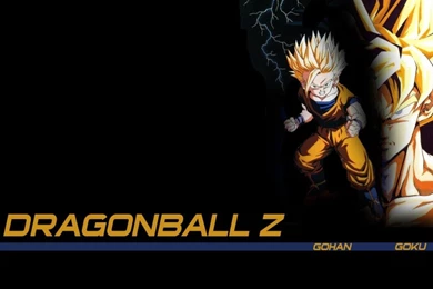 Download The Gohan And Goku Wallpaper, Gohan And Goku iPhone ...