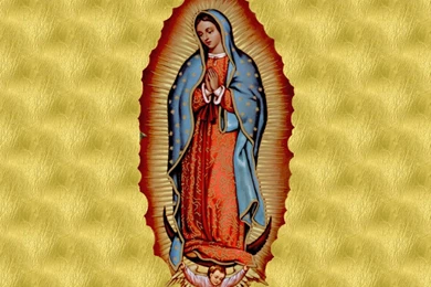 Mother Mary Wallpapers For Desktop Images