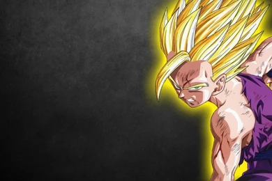 Dbz Quotes Wallpapers. QuotesGram