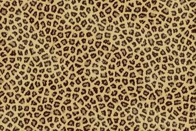 Awesome Cheetah Prints Backgrounds Inventiveness ~ Blanket ...
