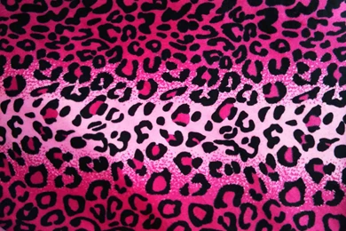 Cheetah Print Desktop Wallpapers