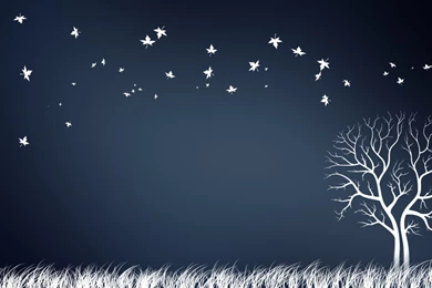 Download Wallpapers, Download 2560x1600 Trees Autumn Simplistic ...