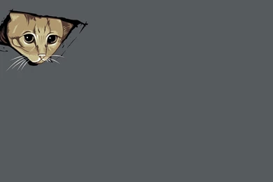 Abstract Cats Kittens Simple Simplistic Wallpapers