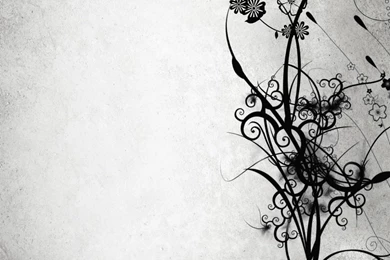 Wallpapers Lover: Banksy Art