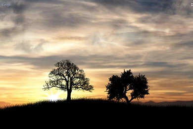 FXdmoNfuUfMHZhgpoDYhn2nnucIC6naAhpS6XunHtQ_0NpzYdZ7aqFA_ABPxaVdR8Ls=h900