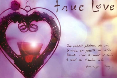 True Love Wallpapers   (