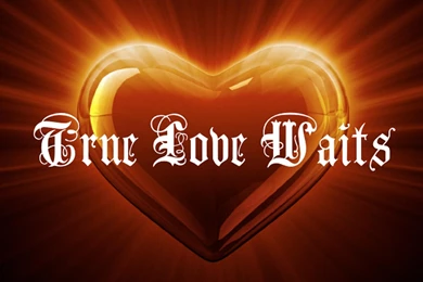 The True Love Wallpapers